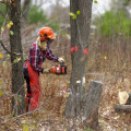 Safety Tips for DIY Projects