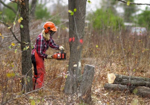 Safety Tips for DIY Projects